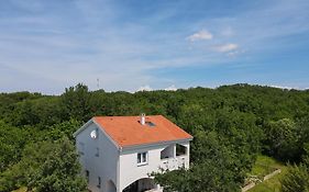 Apartments & Room Danijel